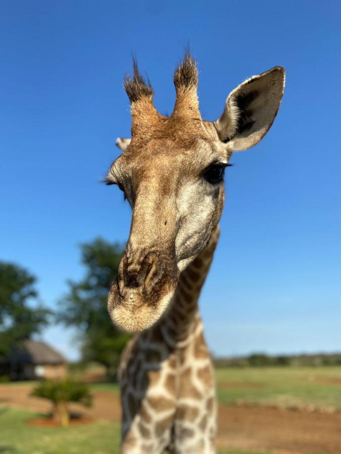 Morakane Safari Lodge Vryburg Ngoại thất bức ảnh